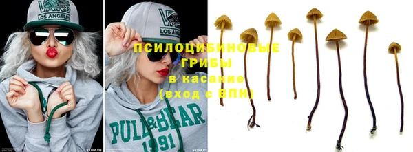 кокс Алзамай