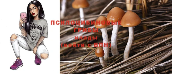 прущая мука Алексин