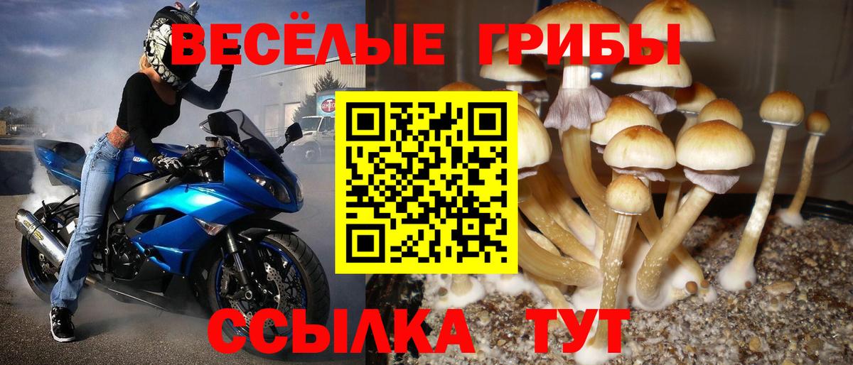 Псилоцибиновые грибы мухоморы  Вход с VPN  Первоуральск 